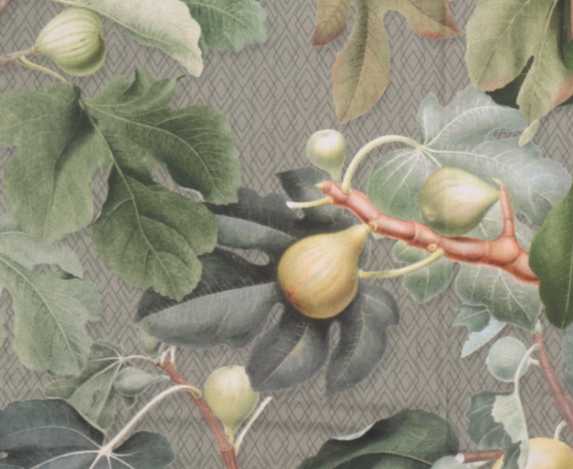 French Figs